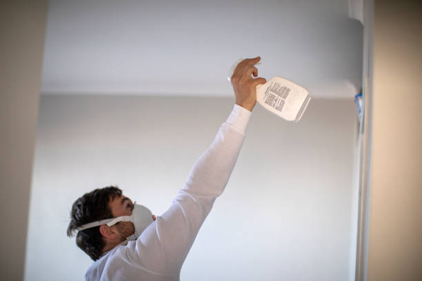 Best Affordable Mold Removal  in Rochester, IL