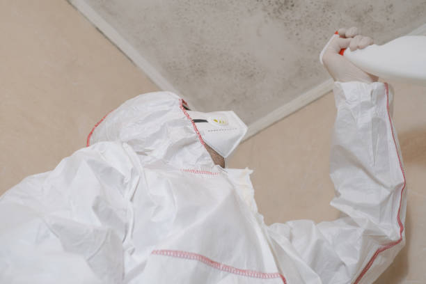 Water Damage Restoration in Rochester, IL